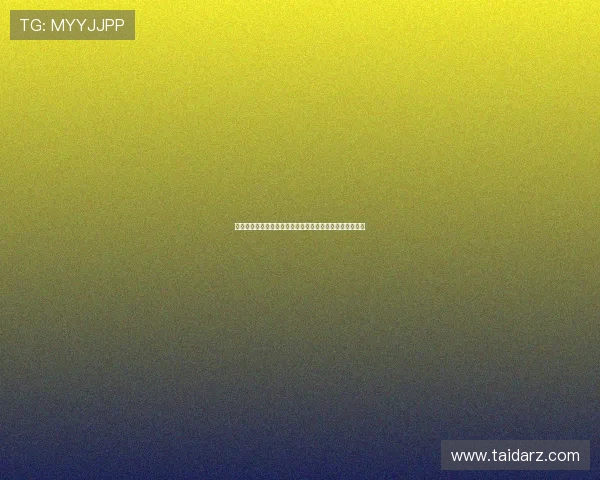 德甲联赛最新动态分析与球队表现探讨及未来发展趋势分析